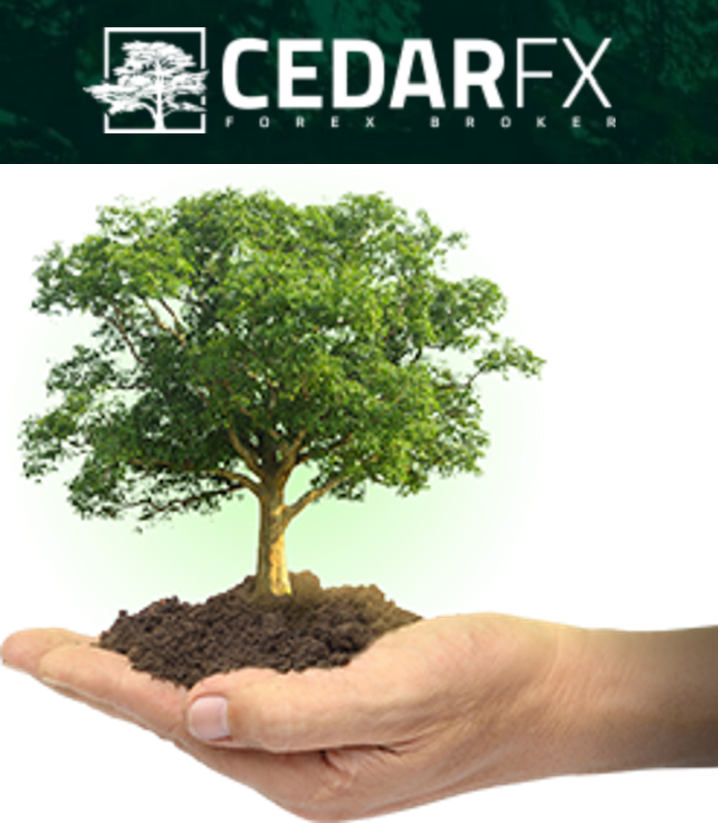 CedarFX presents itself as a green broker