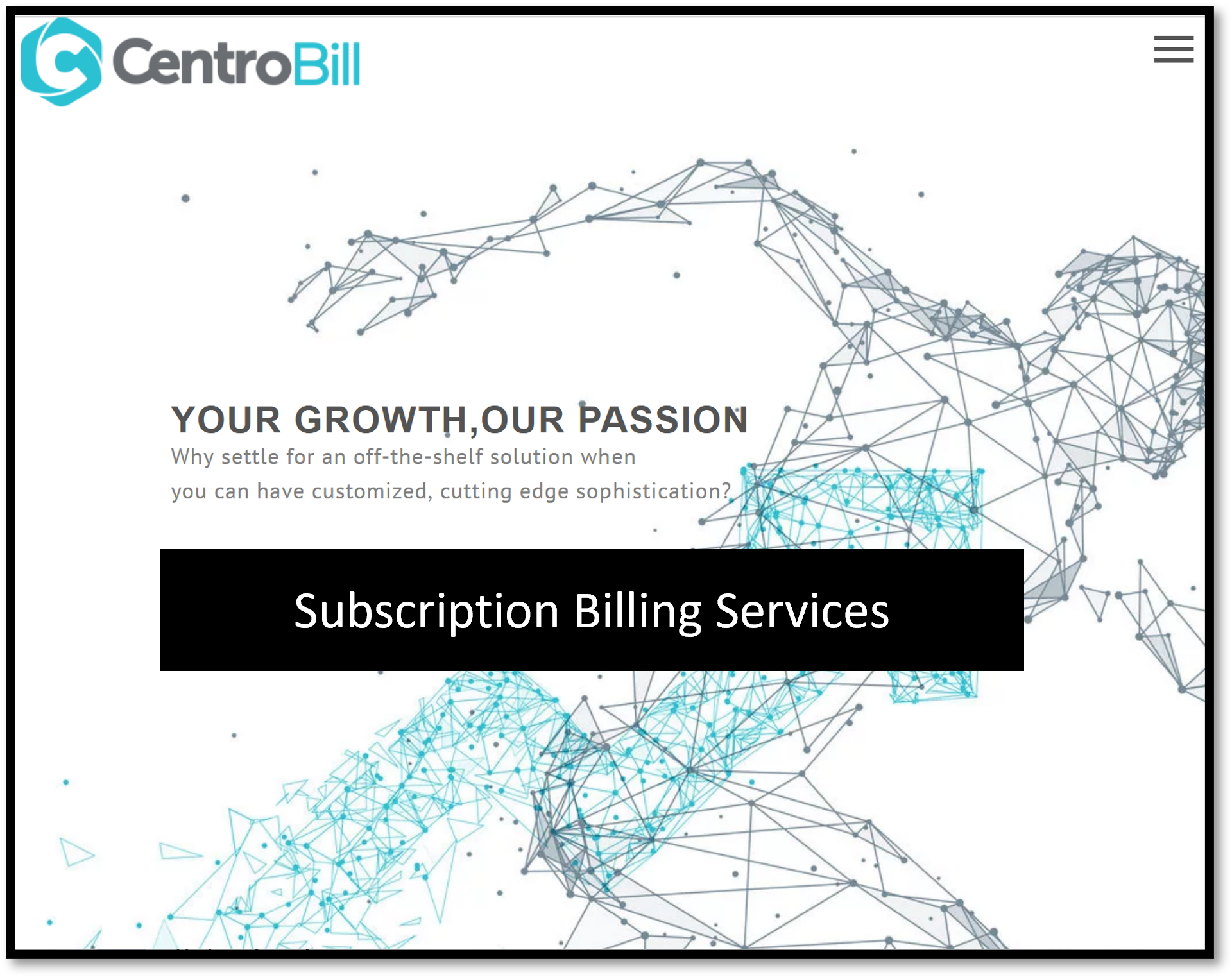 Merchant Alert: The Questionable Billing Services Of High-Risk Payment ...