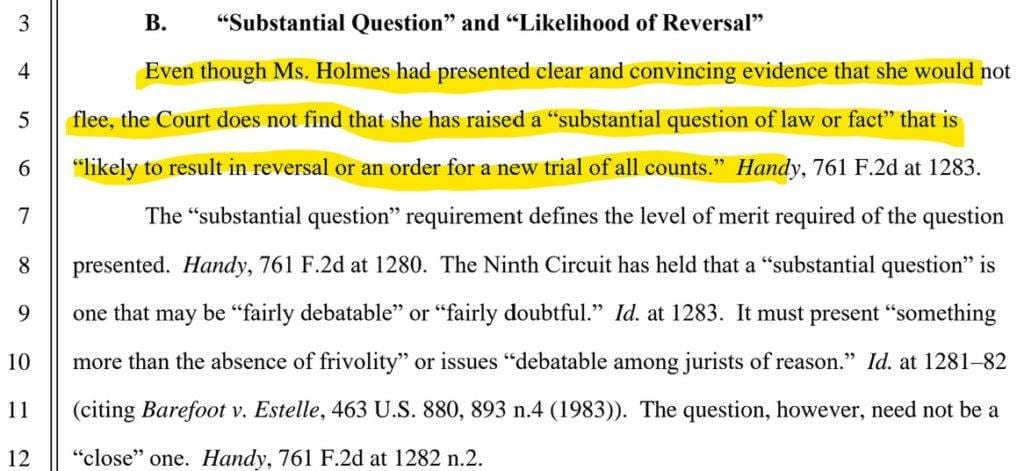 Elizabeth Holmes did not provide arguments to reverse her conviction